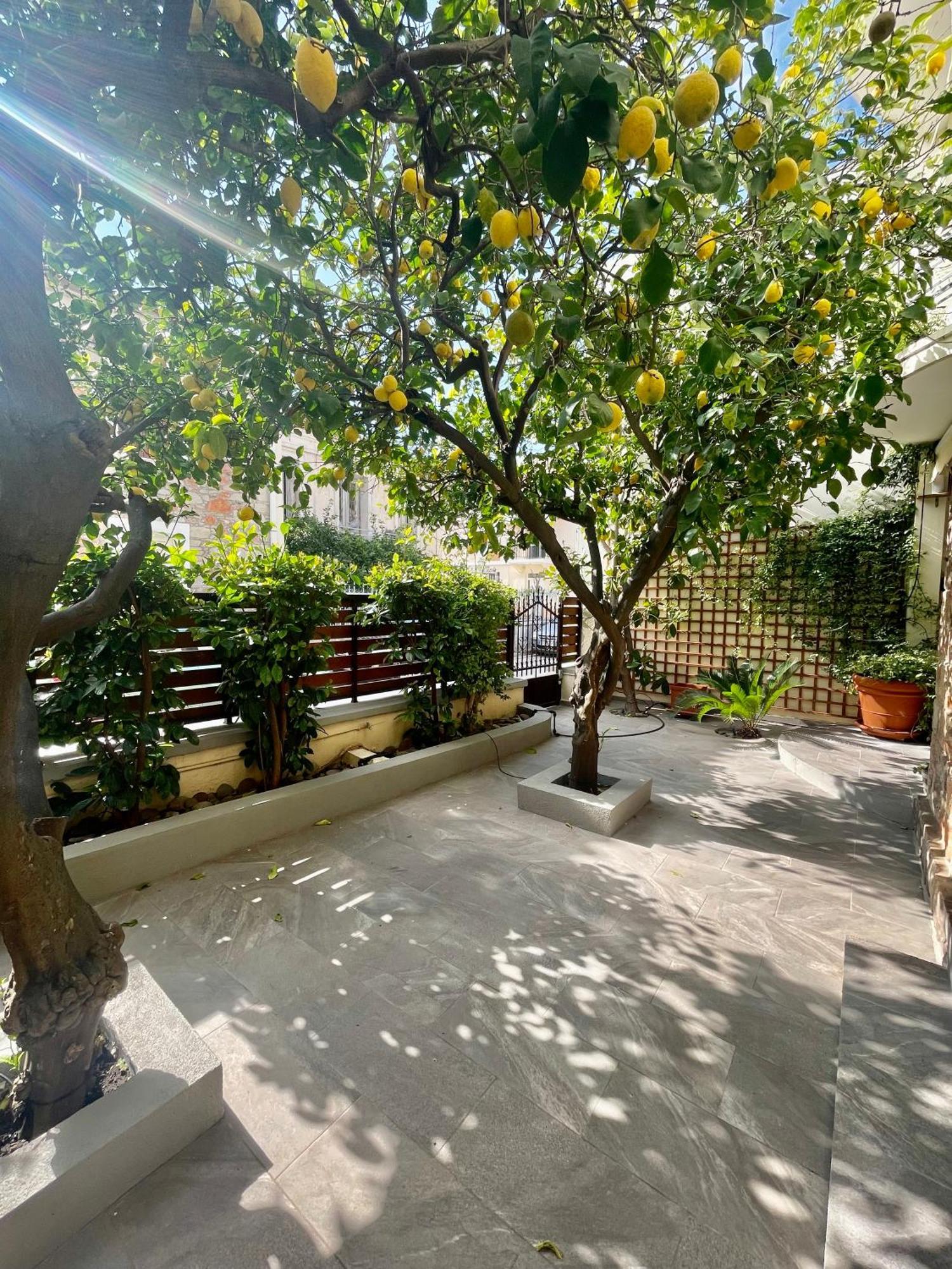 Magnolia Residence Mytilíni Екстериор снимка
