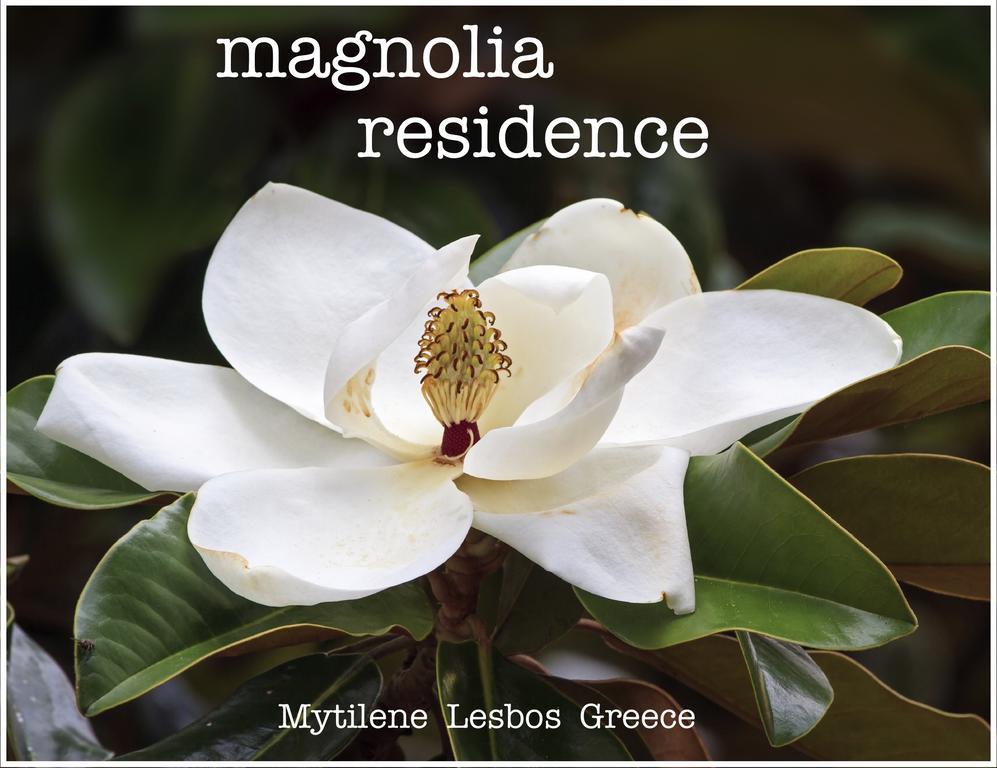 Magnolia Residence Mytilíni Екстериор снимка